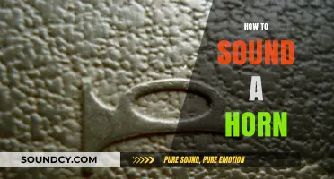 Mastering the Art of Honking: A Guide to Proper Horn Usage