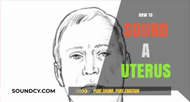 Understanding Uterine Sounds: Techniques and Tools for Accurate Auscultation