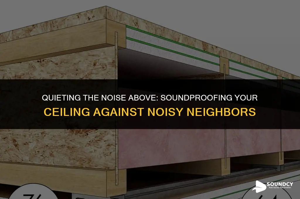 how to sound absorb a ceiling from noisy neighbours