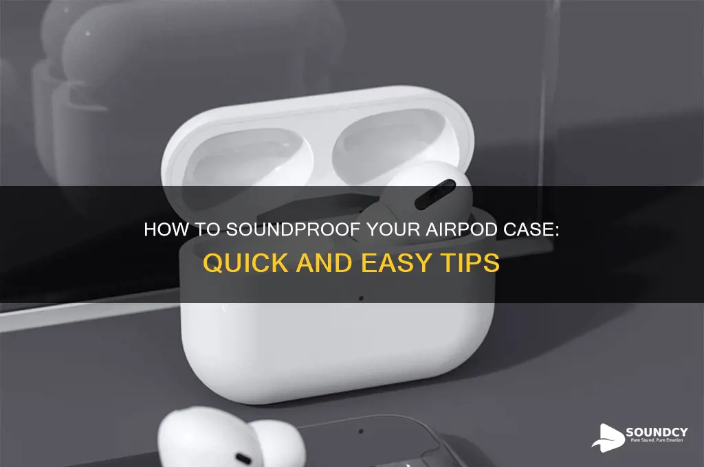 how to sound airpod case