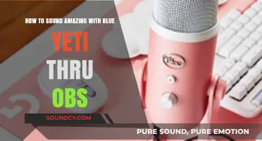 Elevate Your Audio: Blue Yeti + OBS Setup Guide