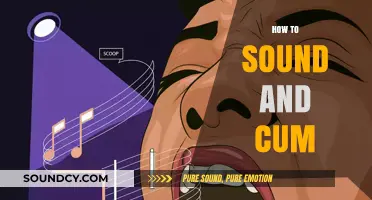 Mastering Vocal Techniques and Pleasure: A Guide to Sounding and Cumming