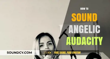 Mastering Angelic Vocals: Audacity Techniques for Ethereal Soundscapes