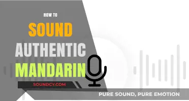 Master Authentic Mandarin: Essential Tips for Natural and Fluent Speech