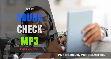 Mastering MP3 Sound Check: Essential Tips for Perfect Audio Quality