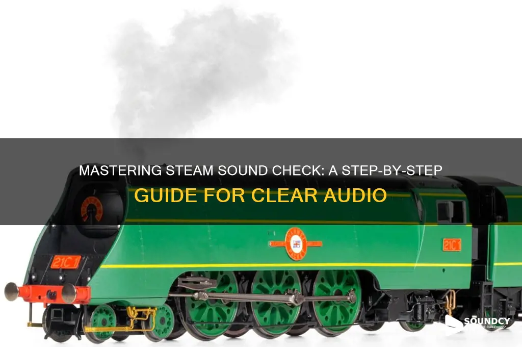 how to sound check steam