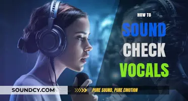 Mastering Vocal Sound Check: Essential Tips for Clear and Balanced Vocals