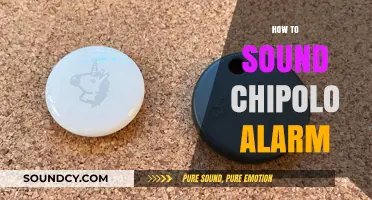 Mastering the Chipolo Alarm: A Quick Guide to Activating Its Sound