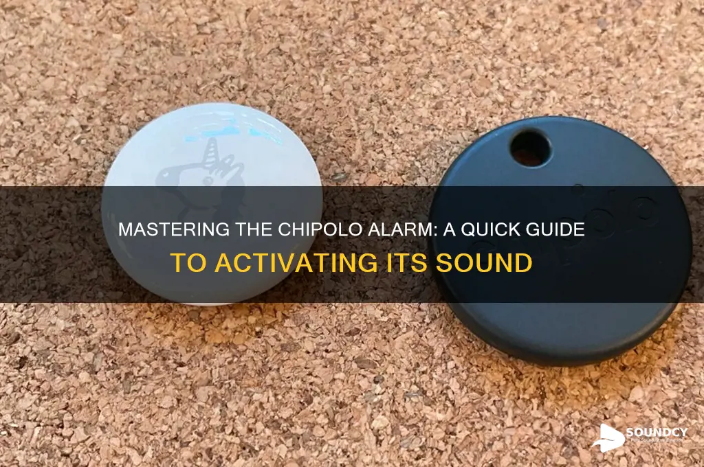 how to sound chipolo alarm