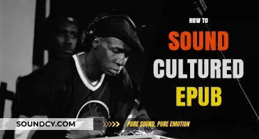 Mastering Cultural Sophistication: A Guide to Sounding Cultured in EPUB