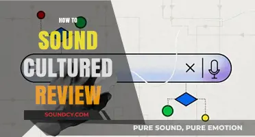 Mastering Cultural Sophistication: A Comprehensive Review of 'How to Sound Cultured