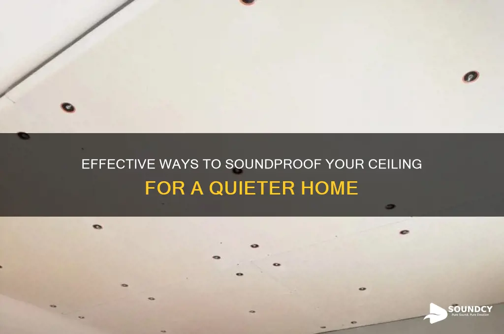 how to sound dampen ceiling