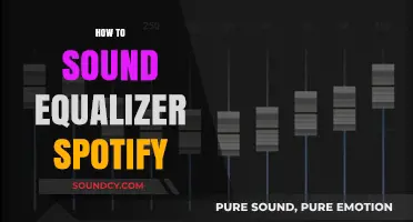 Master Your Spotify Sound: A Guide to Using the Equalizer