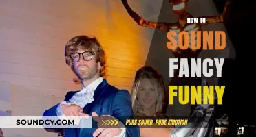 Mastering Wit and Whimsy: How to Sound Fancy and Funny Effortlessly