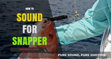 Mastering Snapper Fishing: Techniques to Locate and Catch Snapper Effectively