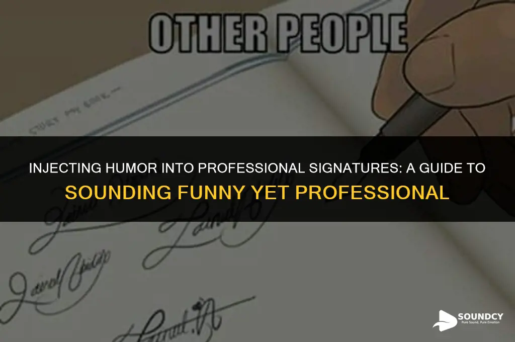 how to sound funny professional in a signature block