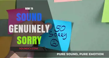 Mastering Sincere Apologies: How to Sound Genuinely Sorry and Rebuild Trust