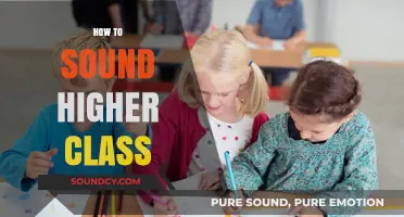 Elevate Your Speech: Mastering High-Class Communication with Ease and Grace
