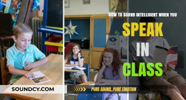 Articulate Eloquence: Mastering the Art of Intelligent Classroom Communication