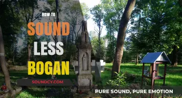Refine Your Speech: Tips to Sound Less Bogan and More Polished
