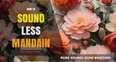 Softening Your Tone: Tips to Sound Less Mandarin in Conversations