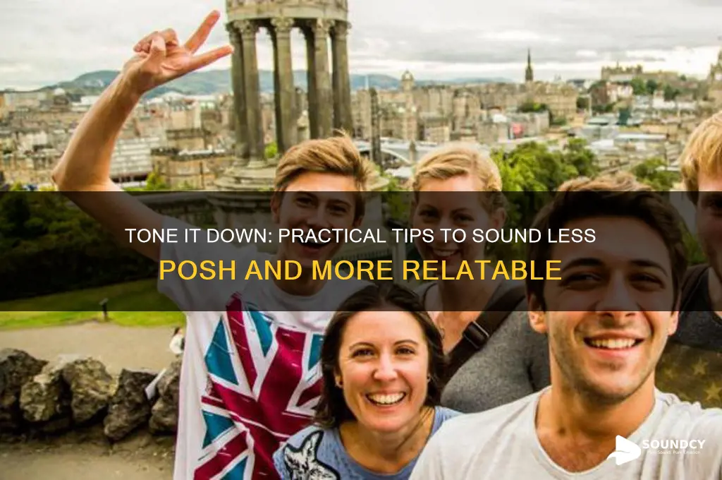 how to sound less posh