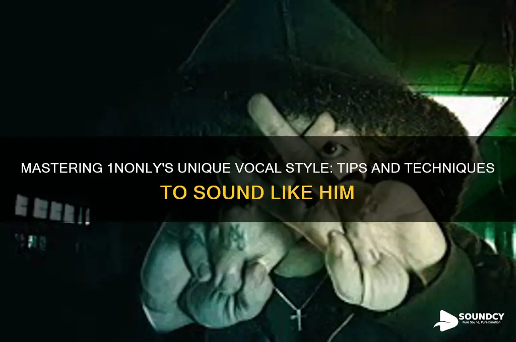 how to sound like 1nonly