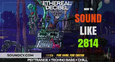 Mastering the Ethereal Soundscapes: A Guide to Emulating 2814's Unique Style