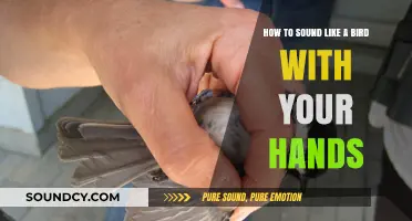 Mimicking Nature's Melodies: The Art of Hand-Bird Sounds