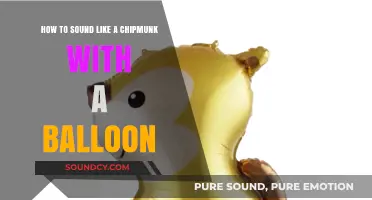 Squeaky Shenanigans: Mastering the Art of Chipmunk Chatter with Balloons