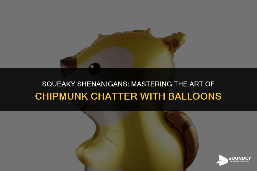 how to sound like a chipmunk with a balloon