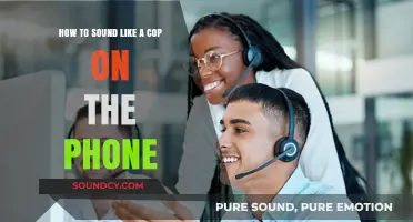 Mastering the Art of Authoritative Phone Communication: A Guide