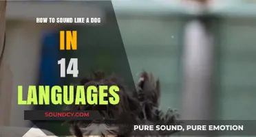 Barking Around the World: A Linguistic Guide to Canine Communication