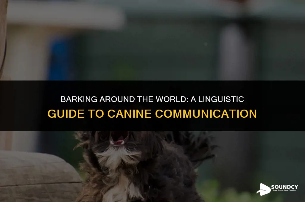 how to sound like a dog in 14 languages