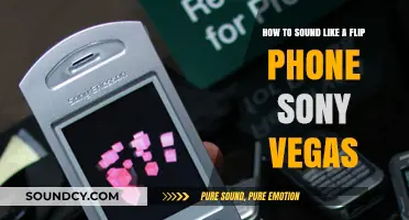 Retro Vibes: Emulating Flip Phone Sounds in Sony Vegas