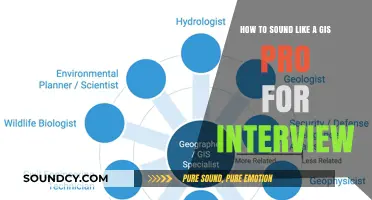 Mastering the GIS Interview: Tips to Sound Like a Pro
