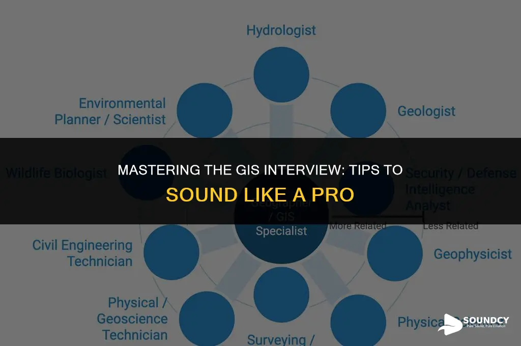 how to sound like a gis pro for interview