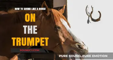 Neigh-ver Miss a Beat: Trumpet Techniques for Horse-like Sounds