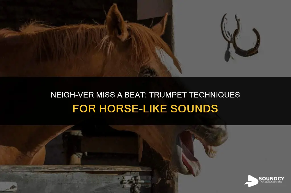 how to sound like a horse on the trumpet