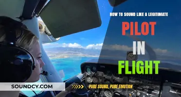 Mastering the Skies: A Guide to Authentic Pilot Communication