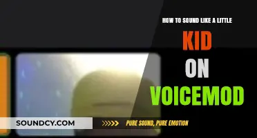 Mastering the Art of Kid-Like Voices with Voicemod: A Fun Guide