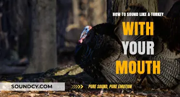 Gobble Gobble: Mastering the Art of Turkey Talk