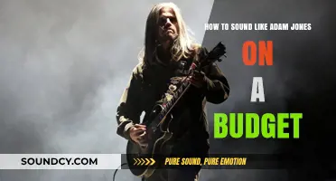 Unlocking Adam Jones' Guitar Tone on a Shoestring Budget
