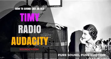 Echoes of Yesteryear: Mastering Old-Timey Radio Audio in Audacity