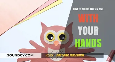 Mastering the Art of Owl Impressions: A Hands-On Guide