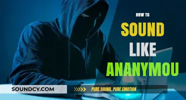 Mastering Anonymity: Techniques to Sound Like Anonymous Online