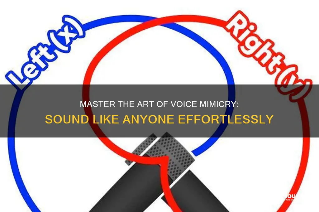 how to sound like anyone