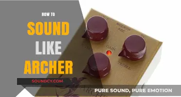 Mastering Archer's Charismatic Voice: Tips for Perfecting His Unique Tone