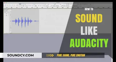 Master Audacity's Signature Sound: Tips and Tricks for Vocal Clarity