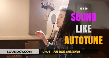 Mastering Autotune Vocals: Techniques to Sound Like a Pro